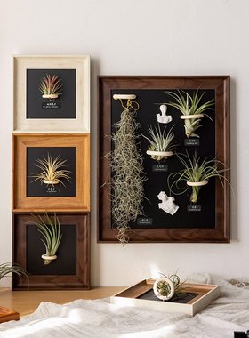 空气凤梨相框摆台复古高级感空框挂墙方形中古磁吸冰箱贴装饰画框