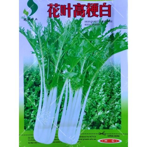 花叶高梗白菜箭杆种子小