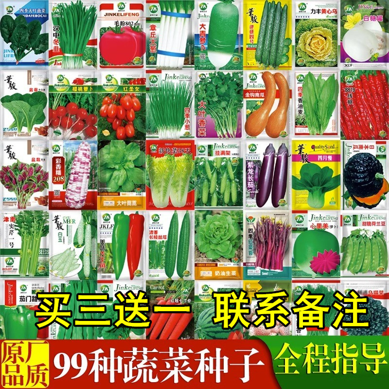 蔬菜籽种大全四季辣椒白孑