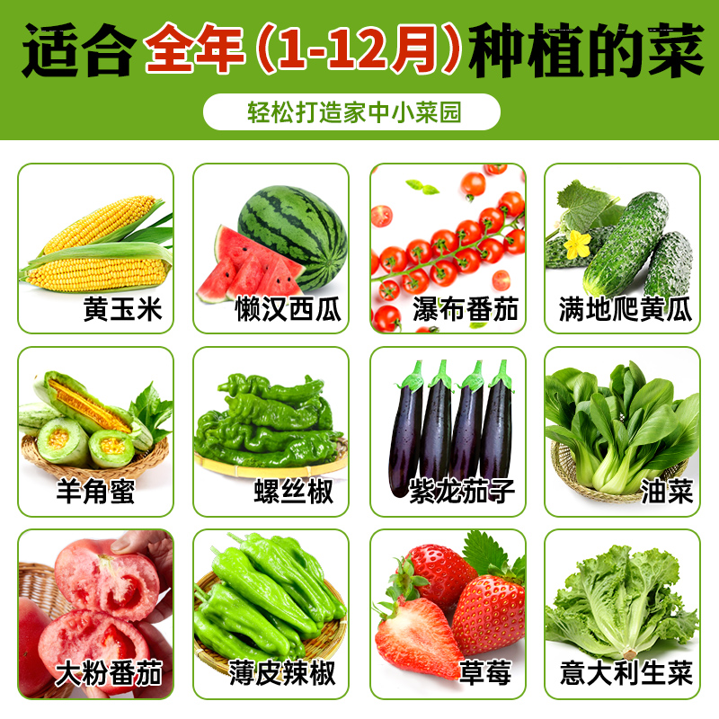 10元选3件！秋冬种的菜蔬