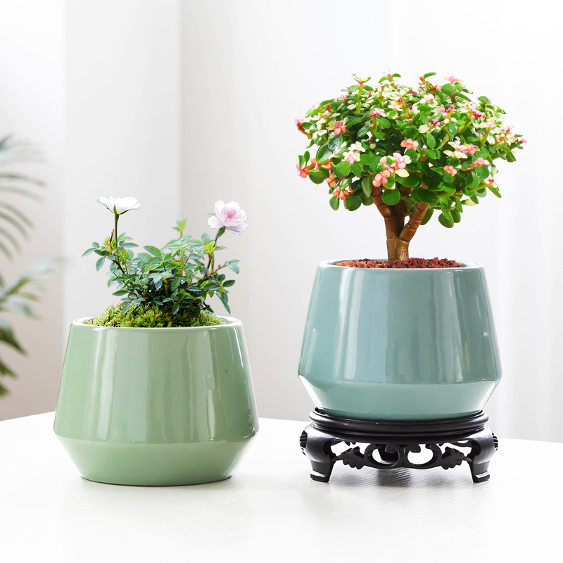 简约哥窑多肉专用花盆透气大口径带托盘家居室内桌面百搭装饰花瓶
