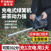 电动绿篱修剪机充电式 剪茶叶修枝剪绿化园林茶树采茶摘茶叶修枝机