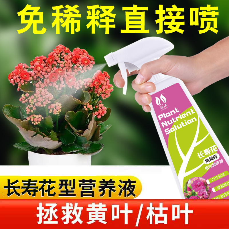 免稀释长寿花专用肥营养液花肥料盆栽通用型家用养花促开花液体肥