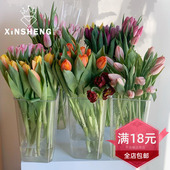 韩式 饰 高透明花桶PC耐摔花瓶花店用品专业醒花养花材料家居插花装