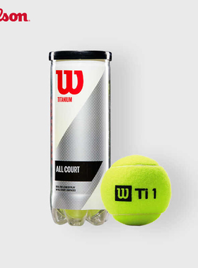 Wilson威尔胜训练比赛网球Titanium 3只装专业耐打网球单罐整箱