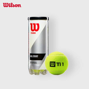 Wilson威尔胜训练比赛网球Titanium 3只装专业耐打网球单罐整箱