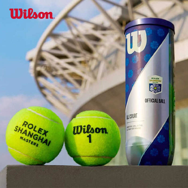 Wilson威尔胜网球上海大师赛网球单罐装训练比赛专用耐打网球整箱