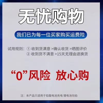 60V45AH自动关机电动车电瓶断电充电器60伏45安三轮车大功率通用