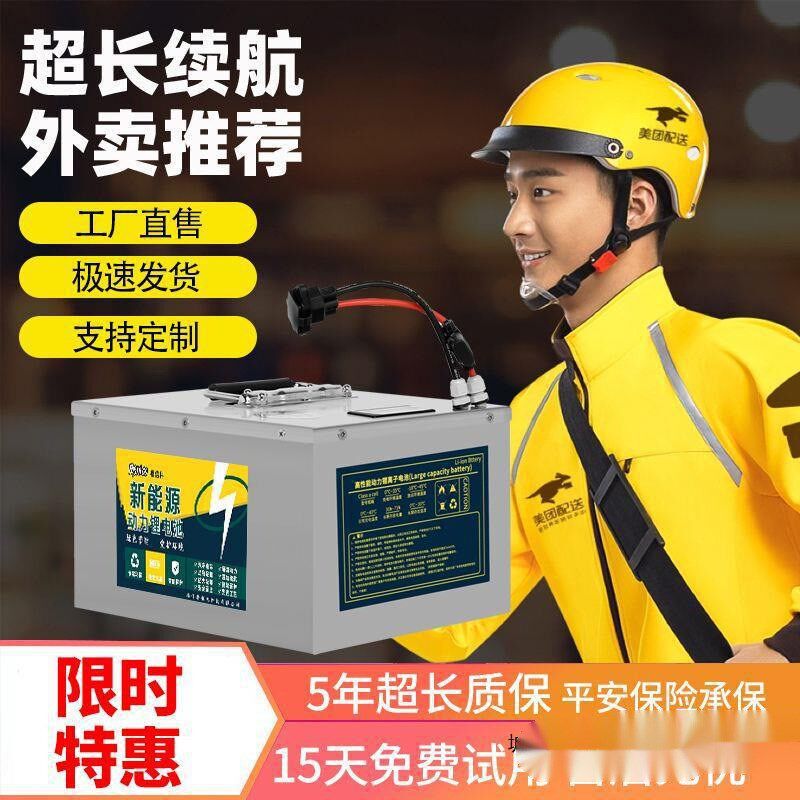 速发宁德轮0伏电动车锂48V72V大容量外卖快递二轮铁6磷酸三锂电瓶