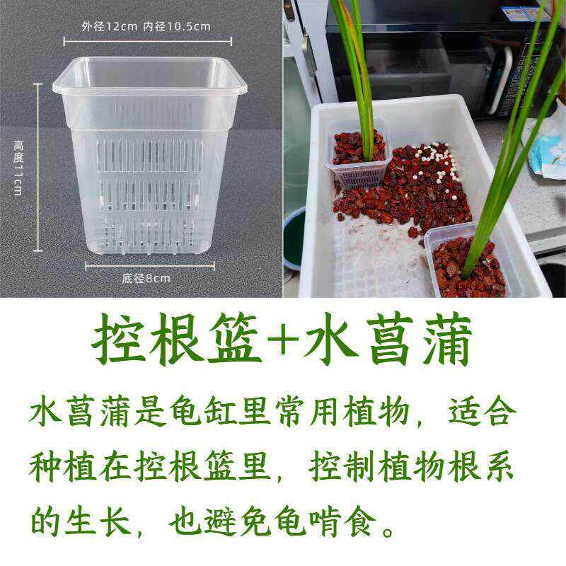 现货水培篮水菖蒲沼泽过滤植物防龟咬方盆加M厚透气塑料花盆控根