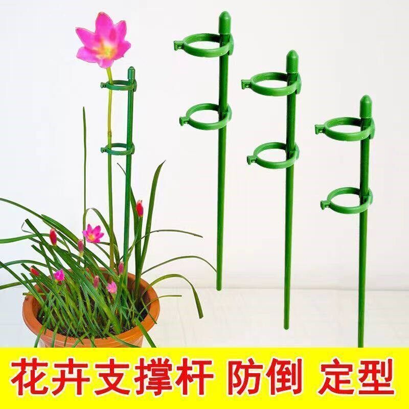 速发盆栽植物固定架月季花卉防倒伏护叶支架多肉蝴蝶兰