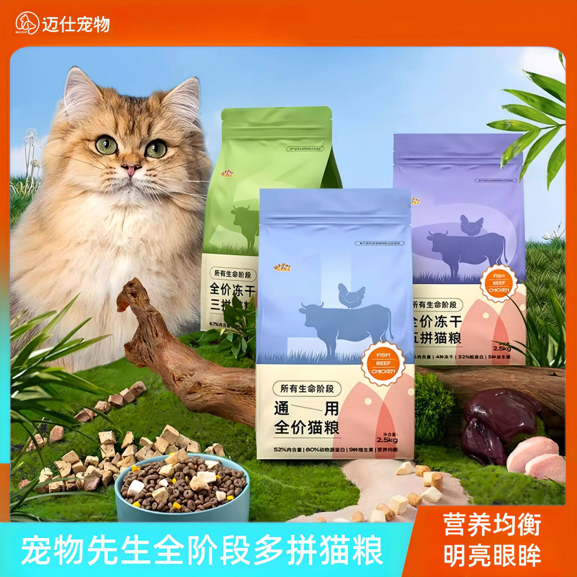 MrPet/宠物先生其他新款猫
