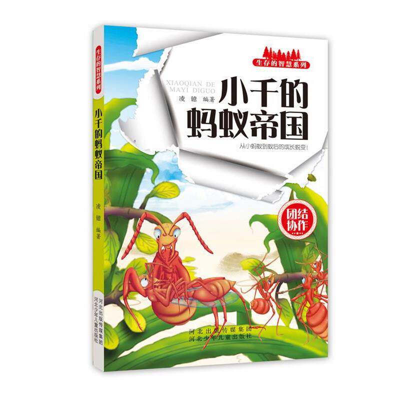 凌镱 编著小千的蚂蚁帝国(正版旧书包邮)河北少年儿童出版社9787537673617