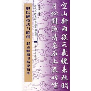 施志伟 编著胆巴碑技法与临创—赵孟頫楷书精要精练(正版旧书包邮)上海科学技术文献出版社9787543935013