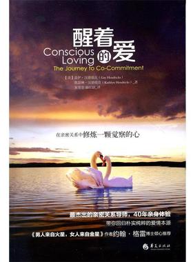 盖伊·汉德瑞克 (Gay Hendricks)醒着的爱（正版旧书包邮）华夏出版社9787508078526