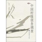 齐顾波 上海远东出版 罗丹 正版 陈洁 包邮 著中国村级债务调查 旧书 社9787807069447
