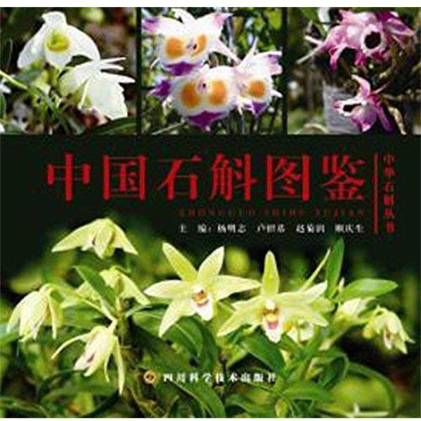 杨明志中国石斛图鉴（正版旧书包邮）四川科技出版社9787536482456