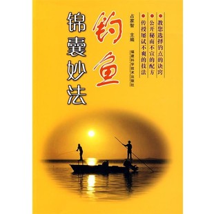 主编钓鱼锦囊妙法 福建科技出版 正版 包邮 社9787533532291 旧书 占家智