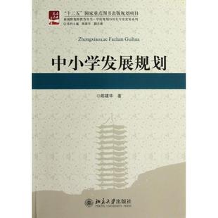 陈建华　著中小学发展规划（正版旧书包邮）北京大学出版社9787301216521