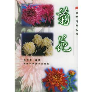 张源能 编著菊花（正版旧书包邮）福建科技出版社9787533516444