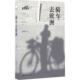 化学工业出版 宋立伟 社9787122265722 旧书 包邮 著骑车去欧洲 正版