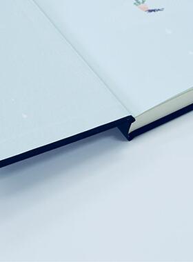 (英)德博拉·利维(Deborah Levy) 著,马华 译游泳回家（正版旧书包邮）四川文艺出版社9787541150357