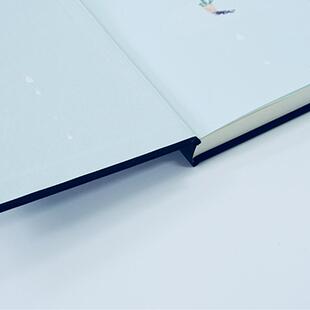 (英)德博拉·利维(Deborah Levy) 著,马华 译游泳回家（正版旧书包邮）四川文艺出版社9787541150357