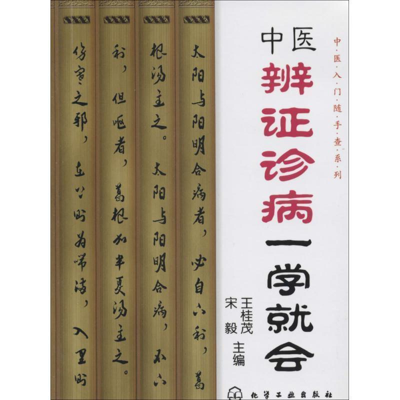 王桂茂,宋毅中医辨证诊病一学就会（正版旧书包邮）化学工业出版社9787122190765