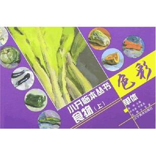 陆琦　主编,许剑春,祈慧泉,孟缨,方昆　等著色彩单体小开临本·食物（正版旧书包邮）辽宁美术出版社9787531436447