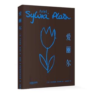 西尔维娅·普拉斯,译者:包慧怡爱丽尔(正版旧书包邮)江苏凤凰文艺出版社9787559439154