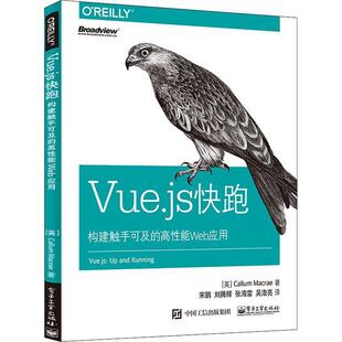 (英)卡勒姆·麦克雷(Callum Macrae)Vue.js快跑 构建触手可及的高性能Web应用(正版旧书包邮)电子工业出版社9787121352997