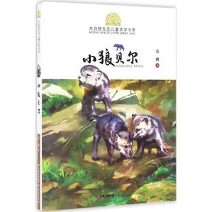 袁博 著小狼贝尔（正版旧书包邮）晨光出版社9787541480898