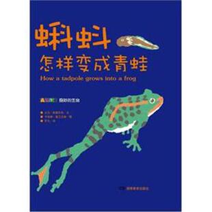 [英]大卫·斯图瓦特罗凡[英]卡洛琳·富兰克林 绘蝌蚪怎样变成青蛙（正版旧书包邮）湖南教育出版社9787535594815