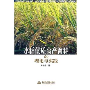 王伯伦　著水稻优质高产育种的理论与实践（正版旧书包邮）水利水电出版社9787508474045