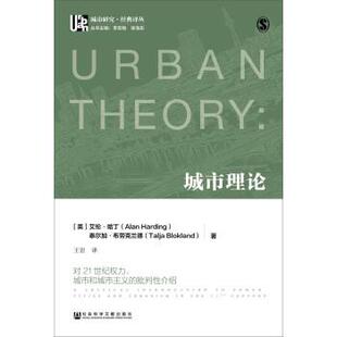 [英] 艾伦·哈丁,[英] 泰尔加·布劳克兰德 著,王岩 译城市理论:对21世纪权力、城市和城市主义的批判性介绍（正版旧书包邮）社会