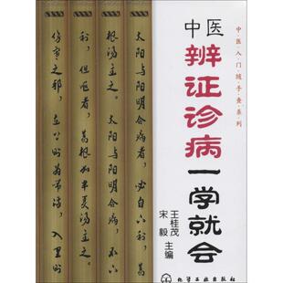 宋毅中医辨证诊病一学就会 化学工业出版 正版 包邮 社9787122190765 旧书 王桂茂