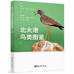 张正旺,石会平,尚成海北大港鸟类图鉴（正版旧书包邮）海洋出版社9787521008418