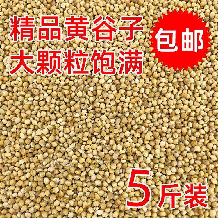 大颗粒黄谷子虎皮鹦鹉饲料鸟食玄凤牡丹粮食文鸟带壳小米黄雀鸟粮
