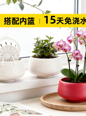 蝴蝶兰花盆塑料树脂加厚耐用多肉绿萝发财树专用轻奢高级感家用
