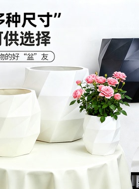 塑料花盆轻奢高级感家用仿陶瓷特大大号龟背竹发财树树脂加厚耐用