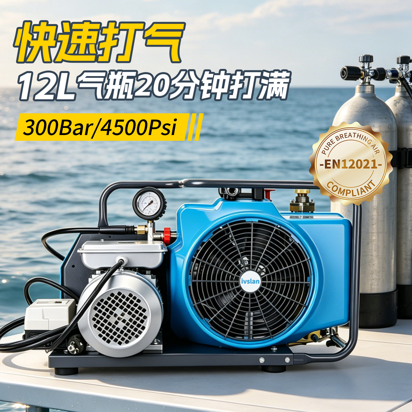 ivslan300Bar高压呼吸充气泵