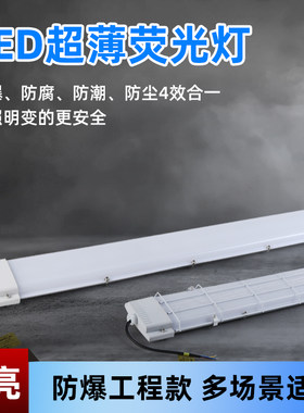 LED防爆灯萤光灯单双管长条仓库厂房厨房车间日光灯隔爆型照明灯