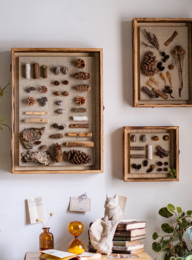 岩璞实木标本相框蝴蝶树叶贝壳收纳展示框相片干花框diy中空画框
