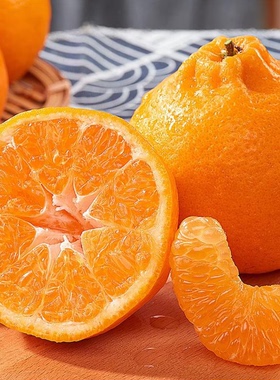 5斤四川耙耙柑新鲜水果桔子早期柑橘包邮应当季水果耙耙柑