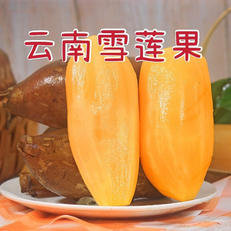 云南天山雪莲果新鲜水果9斤当季整箱水果现挖现发雪连果包邮,水产肉类/新鲜蔬果/熟食,雪莲果,淘宝优惠券,粉丝福利购,淘宝优惠卷