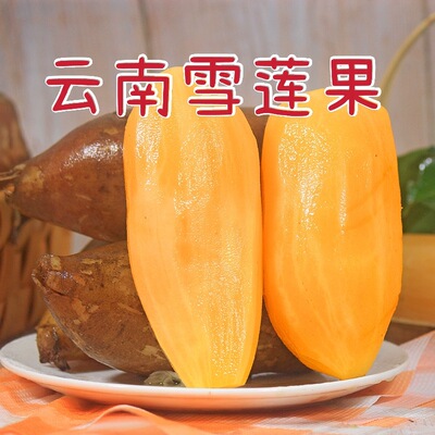 云南当季现挖雪莲果9斤整箱包邮