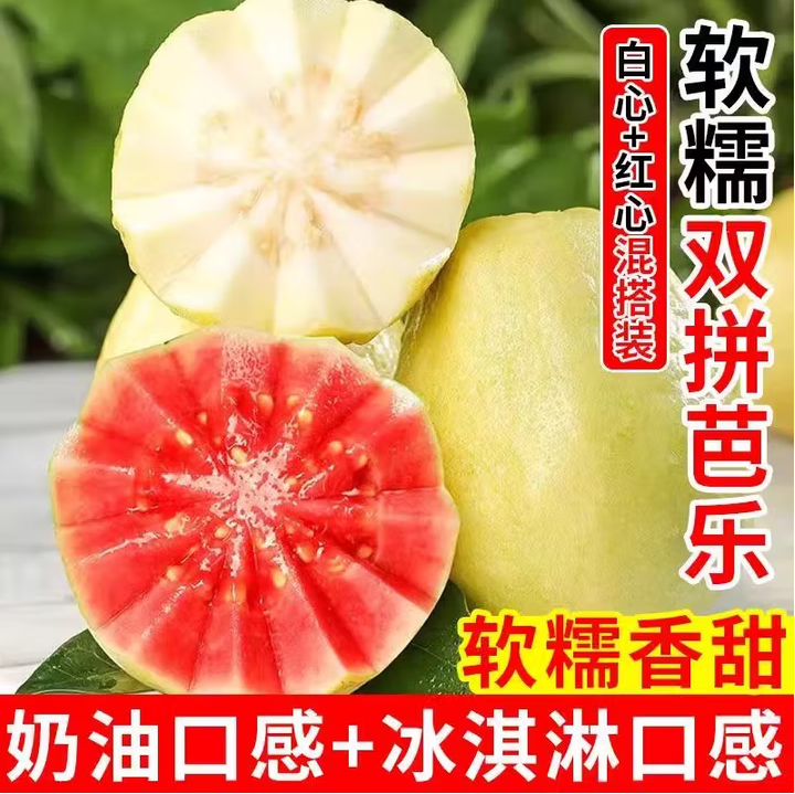 【产地直发】广西树熟红白双拼芭乐红心芭乐软糯香甜番石榴芭乐