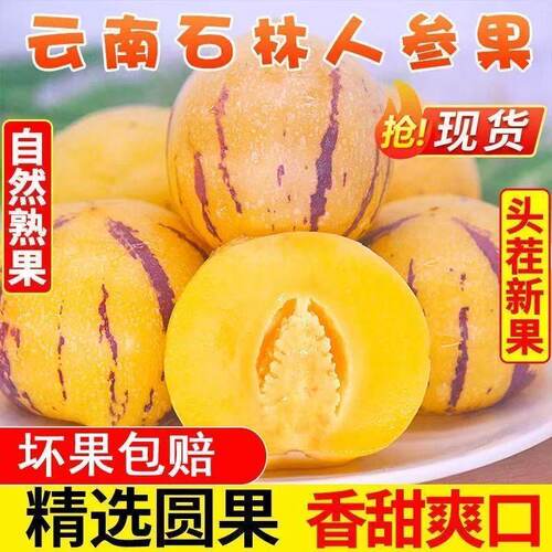 树熟人参果新鲜云南石林人叁果