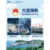 獐年子岛大连特参干货深海底播辽刺参淡干海参JMX畅产享300g货礼