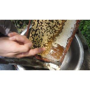 槐蜜土蜂蜜枣花油洋菜蜜蜜益母FUI草5样每样100克，0总共50克蜜包